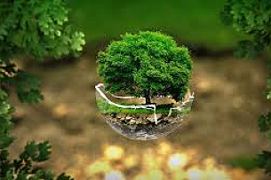 Покана за обучение „Околна среда и Екология“   